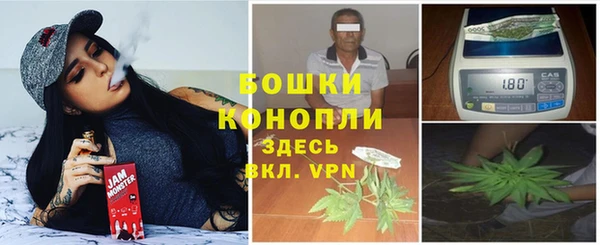 spice Аркадак