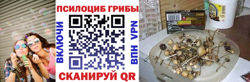 купить закладку Туапсе Галлюциногенные грибы Cubensis